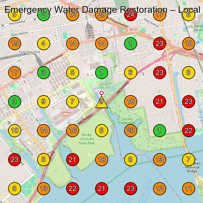 Emergency Water Damage Restoration Water Damage Restoration Service GeoGrid ranking map for None